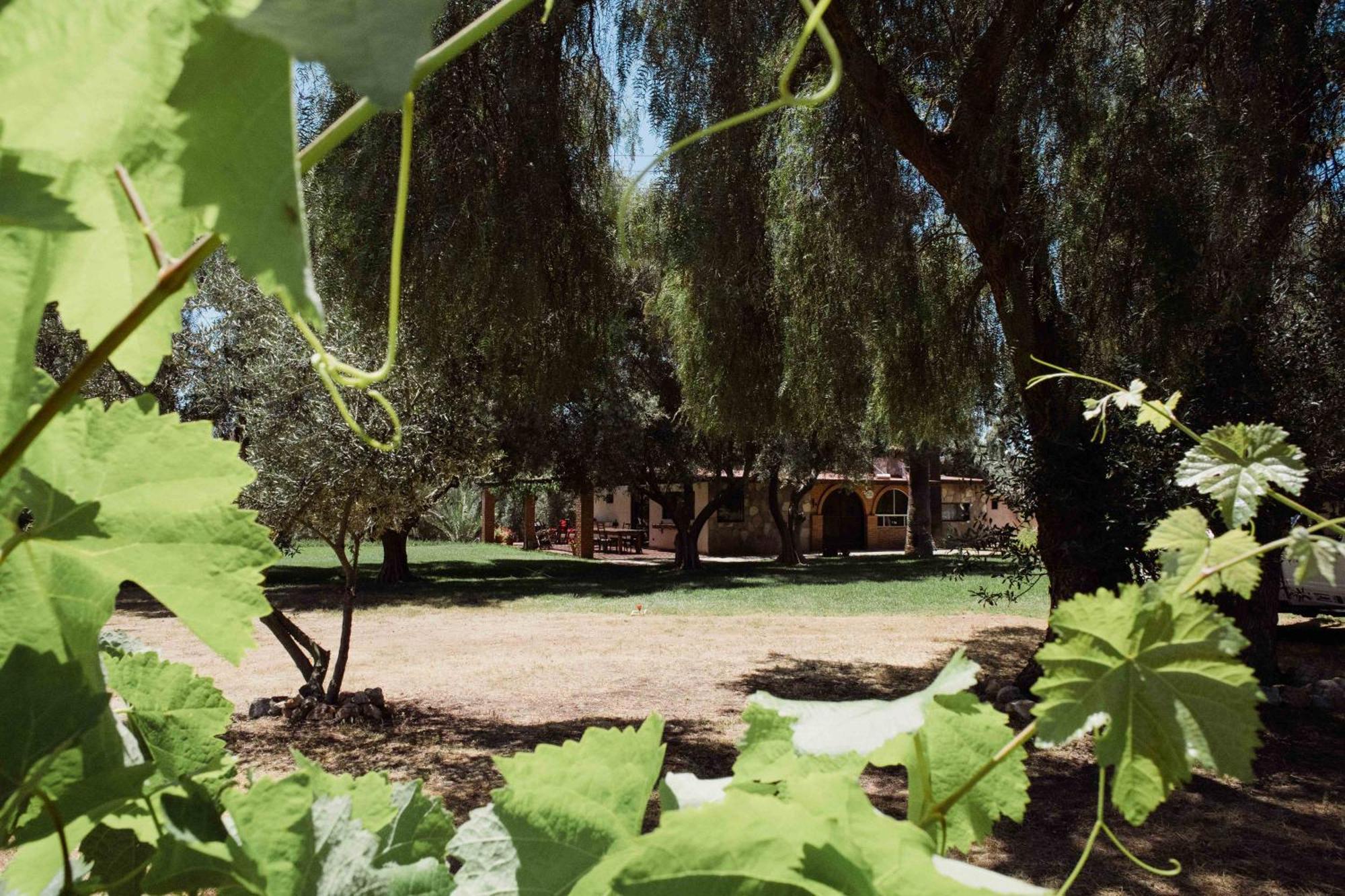 장크트 고아르스하우젠 Rancho Toros Pintos 빌라 객실 사진
